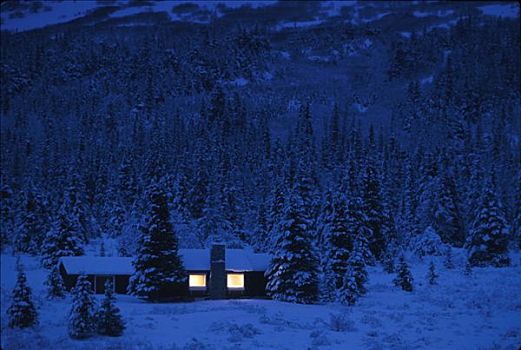 小屋,圣诞树,峰顶湖,冬天,景色