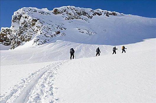 滑雪者,山坡,塞尔扣克山,不列颠哥伦比亚省,加拿大