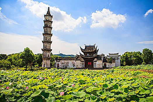 荷花池,荷塘,古塔,古建筑