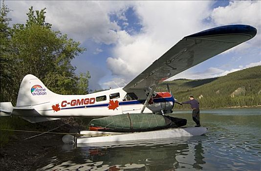 装载,加拿大,海狸,水上飞机,两栖飞机,育空河,河,育空地区,北美