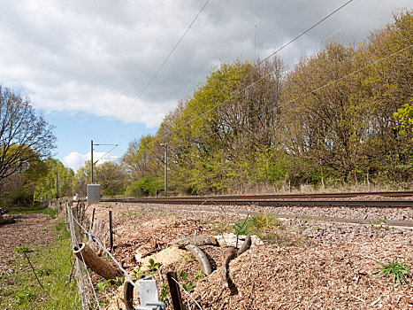 轨道,乡村,英国,列车,刺铁丝网,树,背景
