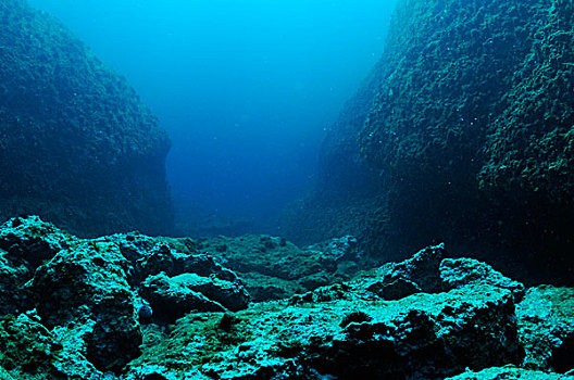 海底岩层图片