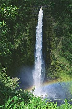 夏威夷,夏威夷大岛,阿卡卡瀑布,茂密,绿色植物,前景,小,彩虹,仰视