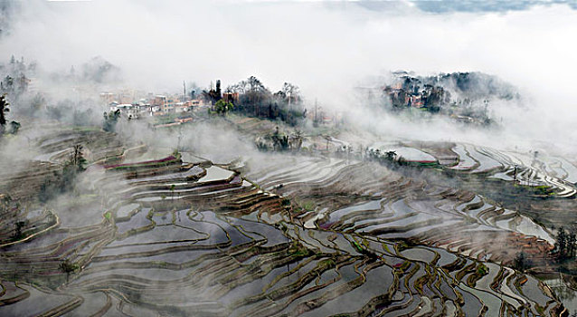 云南元阳梯田,云海,徐学哲摄影,尼康,年,月