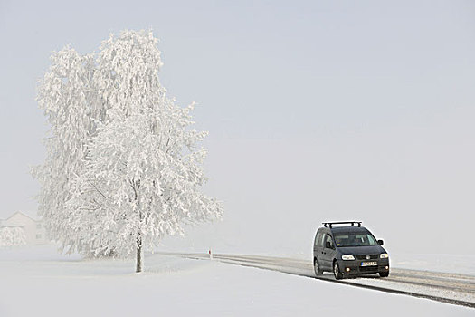 道路,交通,冬天,区域,巴登符腾堡,德国,欧洲