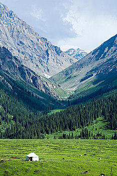 新疆伊犁地区-乔尔玛