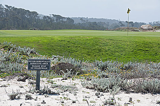 讽刺,标识,靠近,高尔夫球场,沿岸,沙丘,太平洋丛林镇,加利福尼亚