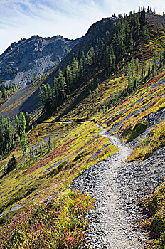 徒步旅行,北瀑布国家公园,太平洋,山峰,小路,质朴,高山,荒野,秋天,靠近,花冈岩,国家森林,华盛顿