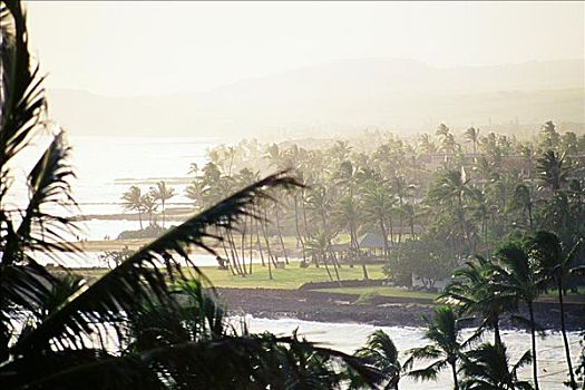 夏威夷,考艾岛,坡伊普,海滩,区域,沿岸,景色,郁闷,下午,亮光