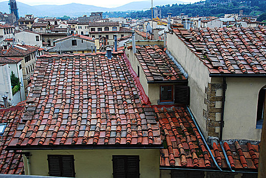 砖瓦,屋顶,佛罗伦萨,意大利