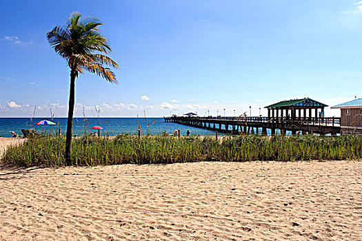 佛罗里达,海滩,码头
