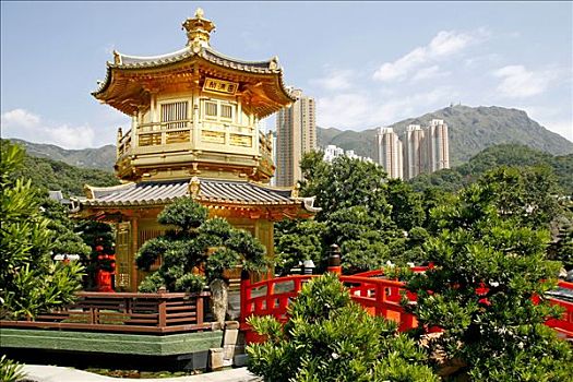 塔,植物园,公园,九龙,香港,中国,亚洲