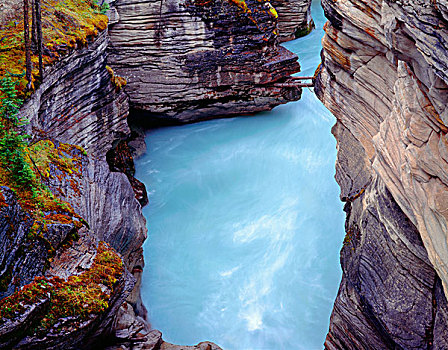 加拿大,艾伯塔省,碧玉国家公园,阿萨巴斯卡河,切削,深,石灰石,峡谷,靠近,阿萨巴斯卡瀑布,大幅,尺寸