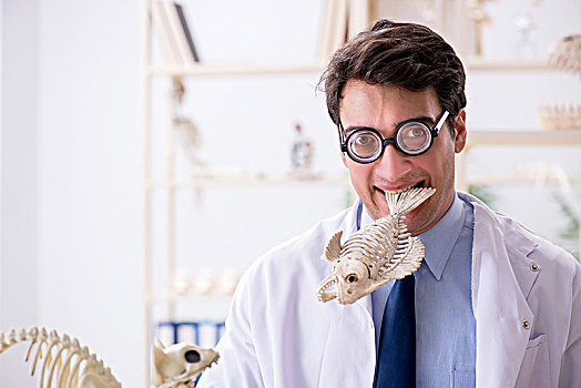 有趣,疯狂,教授,学习,动物,骨骼