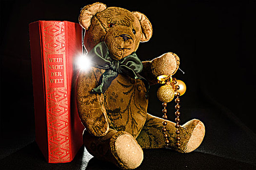 泰迪熊,倚靠,红色,书本,拿着,圣诞装饰