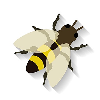 蜜蜂,隔绝,白色背景,背景,矢量,插画