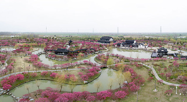 江苏省盐城市大丰区梅花湾景区