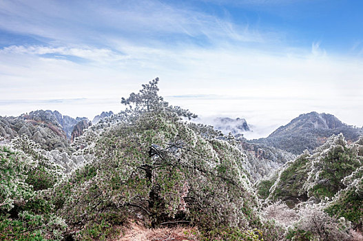 安徽黄山风景区冬雪云海风光