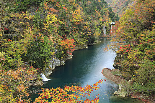 山谷,秋天,彩色,树