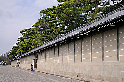 墙壁,宫殿,松树,树,皇宫,京都,日本,亚洲