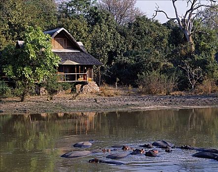 赞比亚,南卢安瓜国家公园,住宿,木制屋舍,向外看,泻湖