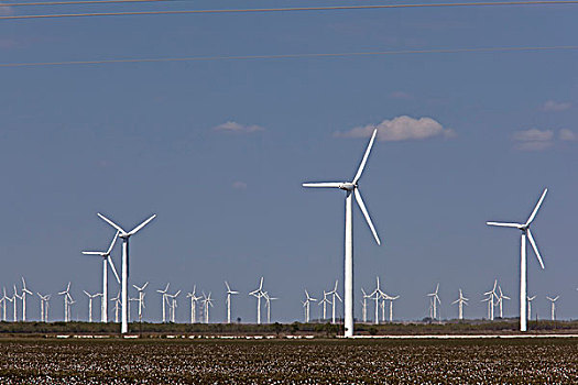 风,涡轮,地点,科罗拉多,城市,西部,德克萨斯,美国