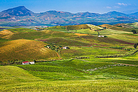 景色,远景,农田,圆点,建筑,山脉,背景,靠近,省,特拉帕尼,西西里,意大利