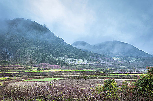 雾色田园