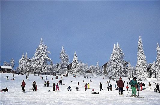 冬季运动,雪,滑雪,假日,奥地利,欧洲,山峦,阿尔卑斯山