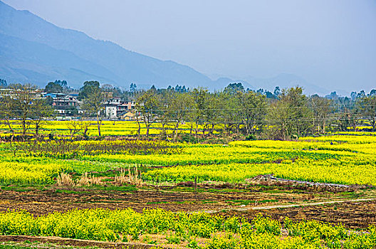 田园风光