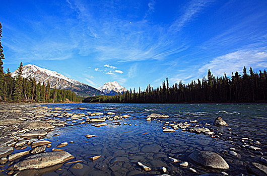 阿萨巴斯卡河,山,背景,碧玉国家公园,艾伯塔省,加拿大