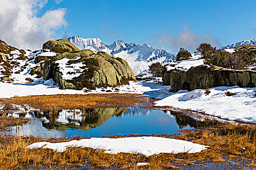 早,雪,苔藓,水塘,正面,攀升,阿尔卑斯山,山谷,瑞士