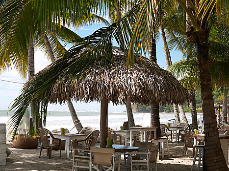 海滩,酒吧,棕榈树,干盐湖,尼科亚,半岛,哥斯达黎加,中美洲