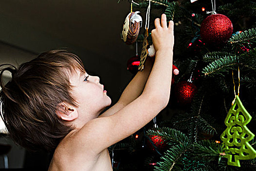 男孩,孩子,装饰,圣诞树