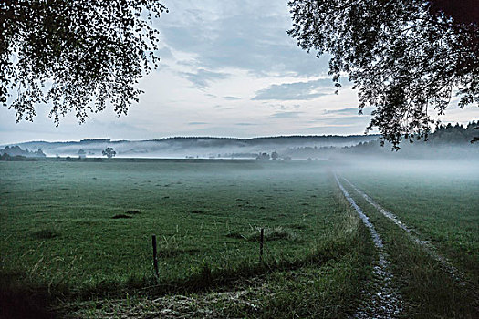 风景,晨雾,上方,地点,坏,巴伐利亚,德国