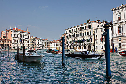 水,出租车,大运河,威尼斯