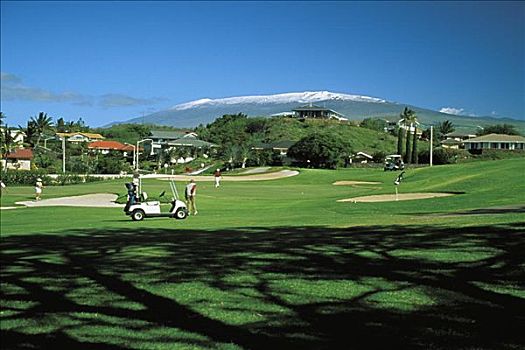 夏威夷,夏威夷大岛,柯哈拉海岸,瓦克拉,乡村,高尔夫球杆