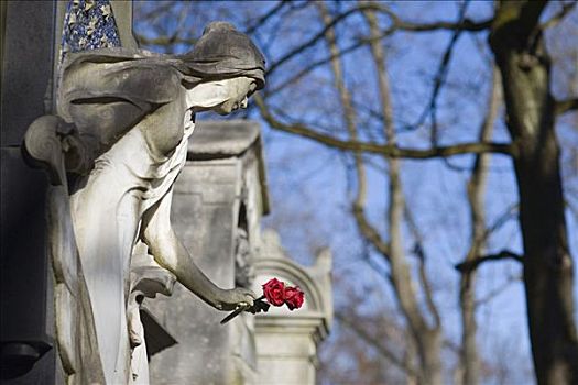天使,雕塑,拿着,红玫瑰,墓碑,墓地,慕尼黑,巴伐利亚,德国
