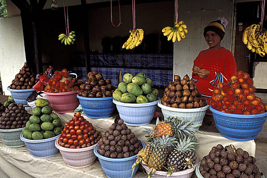 印度尼西亚,巴厘岛,水果,菠萝,蛇,芒果,香蕉,红毛丹果