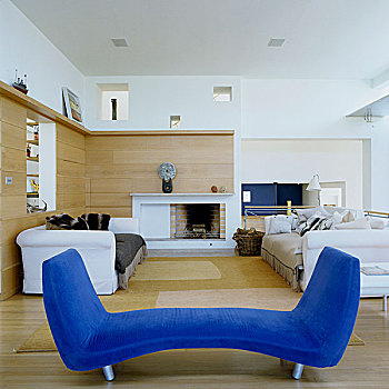 蓝色,接待室,白色,沙发,客厅,木头,墙壁,壁炉