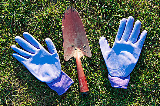 园艺手套,手铲,草地
