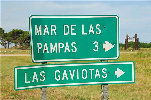 路标,靠近,潘帕斯草原,布宜诺斯艾利斯,省,阿根廷