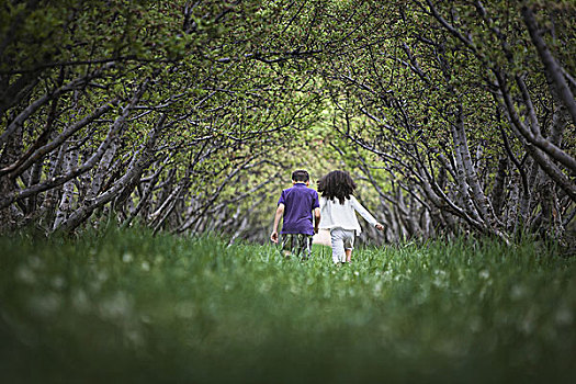 两个孩子,跑,自然,树林,树枝,隧道