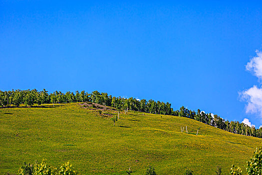 内蒙古呼伦贝尔沿途美景