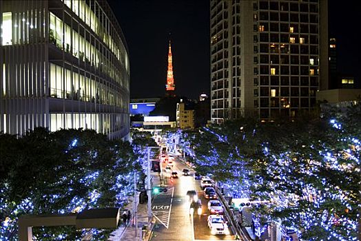 日本,东京,山,假日,光亮,东京塔