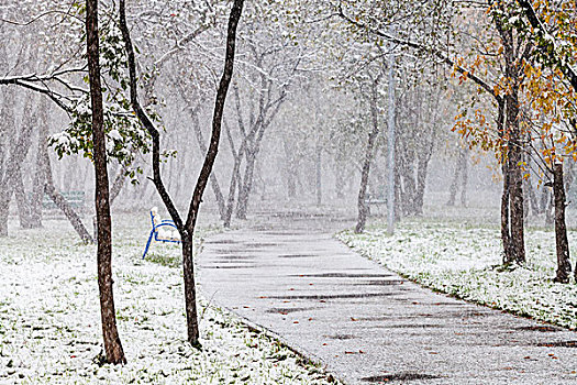 第一,下雪,城市公园
