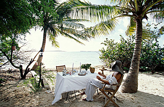 桌面布置,海滩,棕榈树