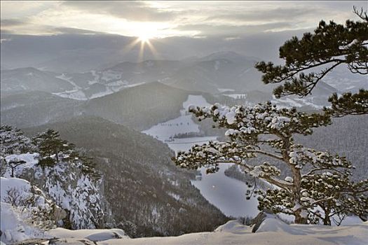 日落,冬天,下奥地利州