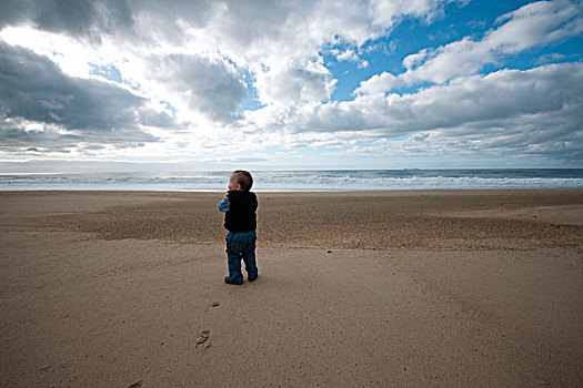 幼儿,走,海滩,后视图