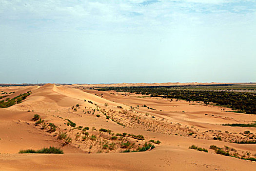 中国第七大沙漠,库布齐沙漠美景
